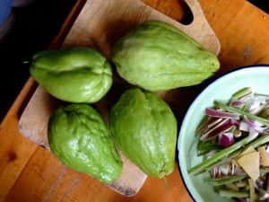 Chayote<br><span>A Simple, Ancient Vegetable</span>