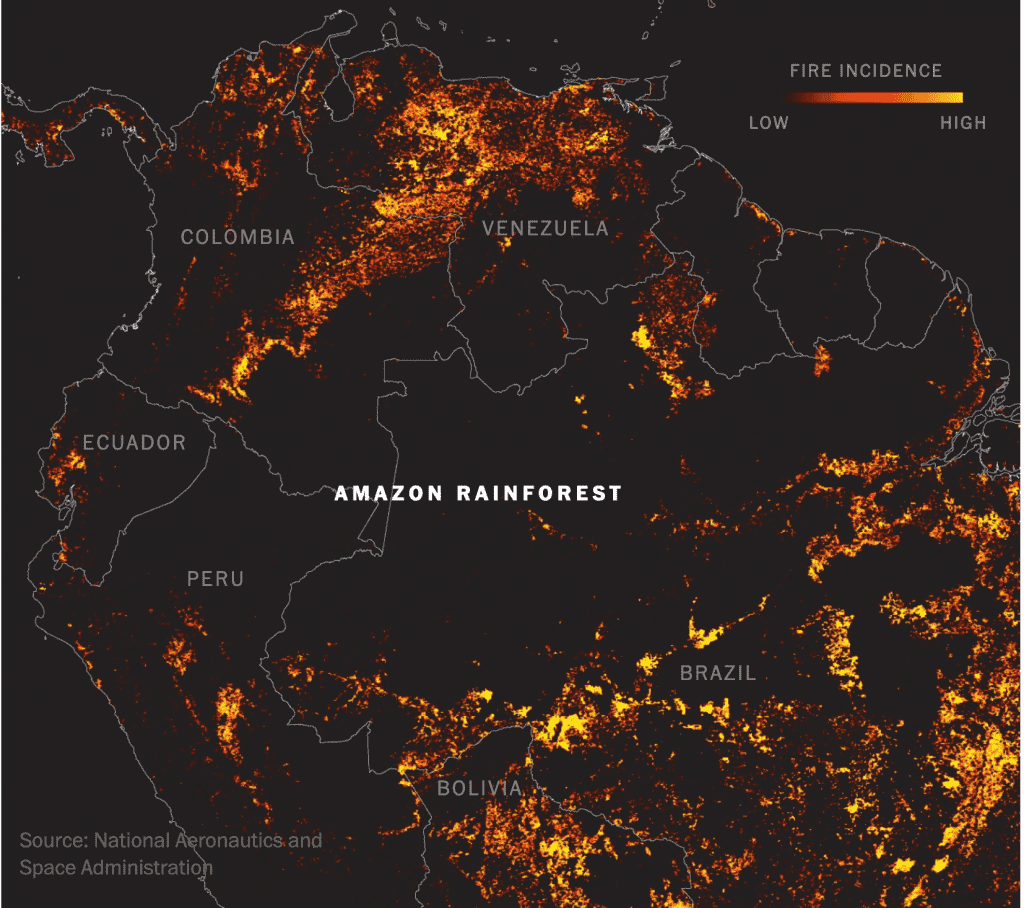 Burning for Profit in Brazil