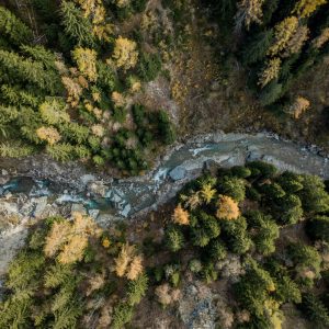 A river with pine trees on the sides from an upper view